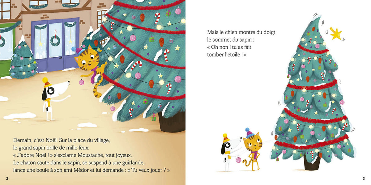 Livre - Le Noël de Moustache