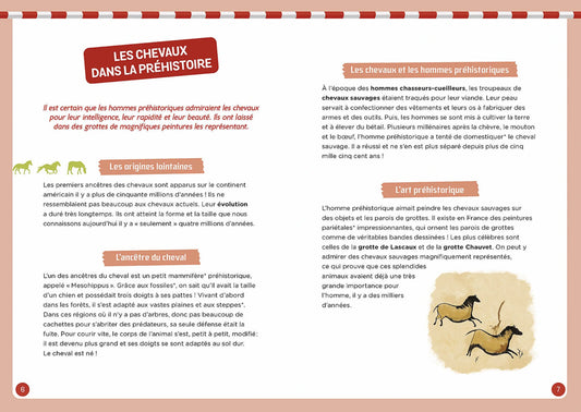 Coffret - À la découverte des chevaux