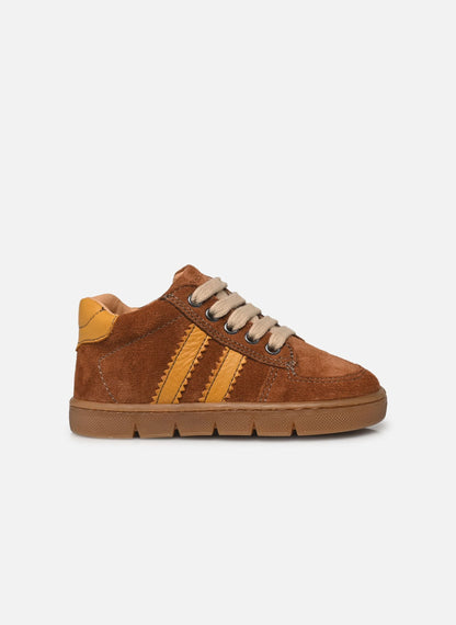 Chaussure Farel - Camel