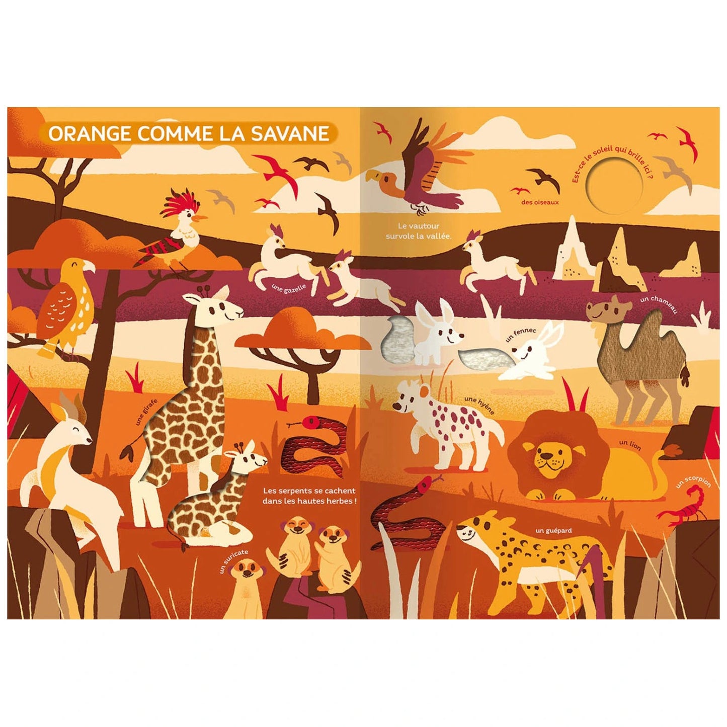 Mon grand livre d'éveil - Monde des couleurs
