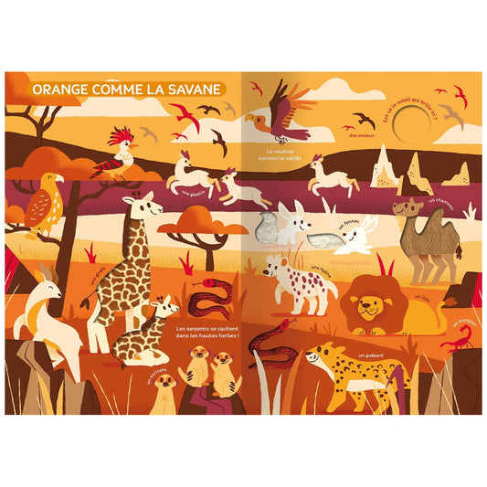 Mon grand livre d'éveil - Monde des couleurs