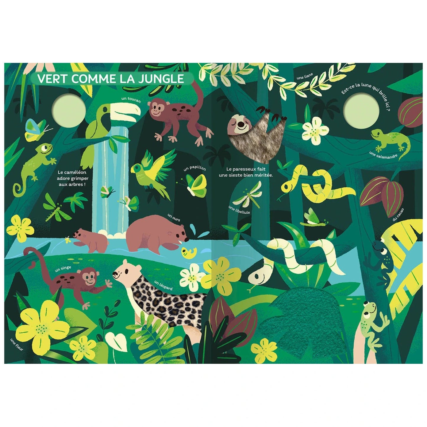 Mon grand livre d'éveil - Monde des couleurs