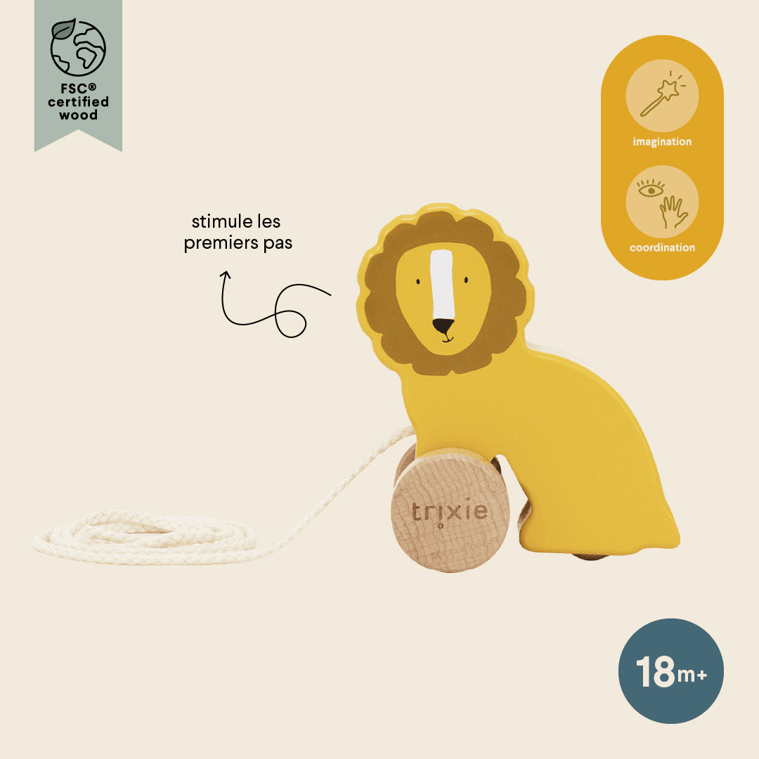 Jouet à tirer - Mr Lion