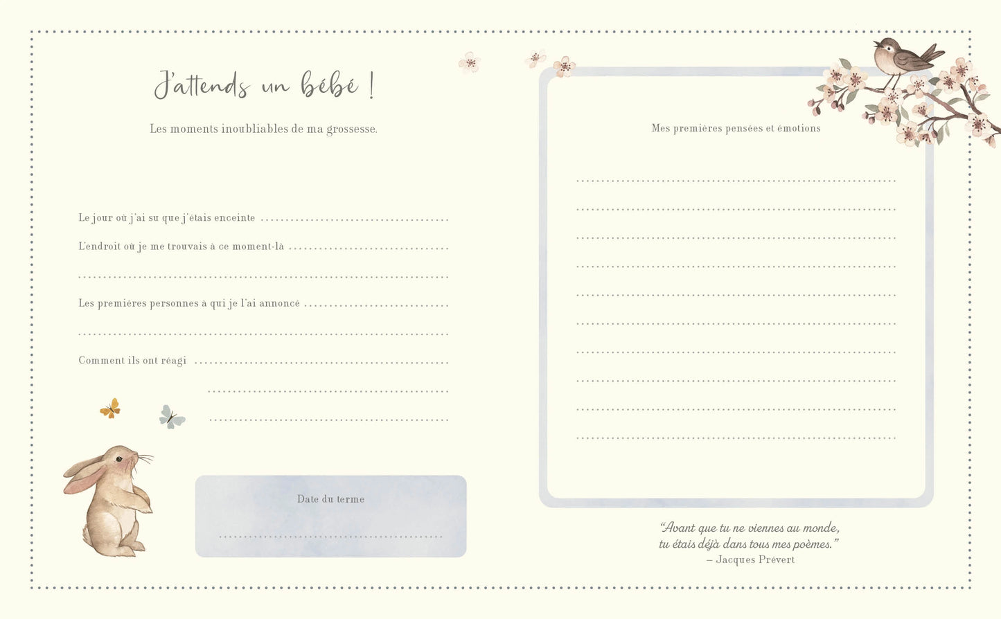 Livre - Mon journal de grossesse