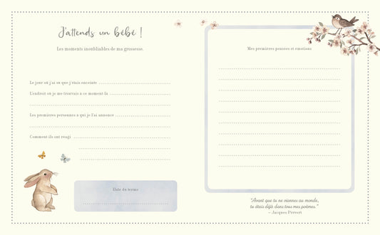 Livre - Mon journal de grossesse