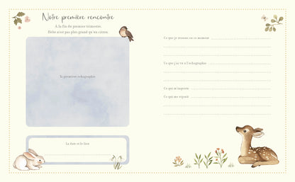 Livre - Mon journal de grossesse