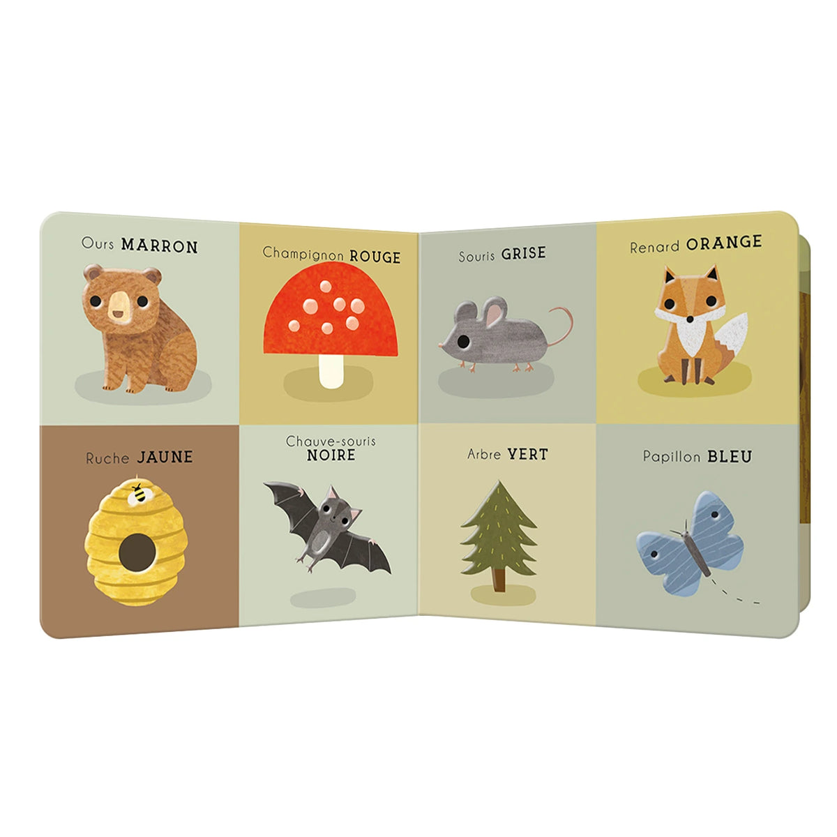Livre bébé découvre - Forêt