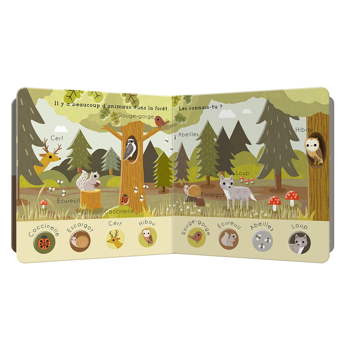 Livre bébé découvre - Forêt