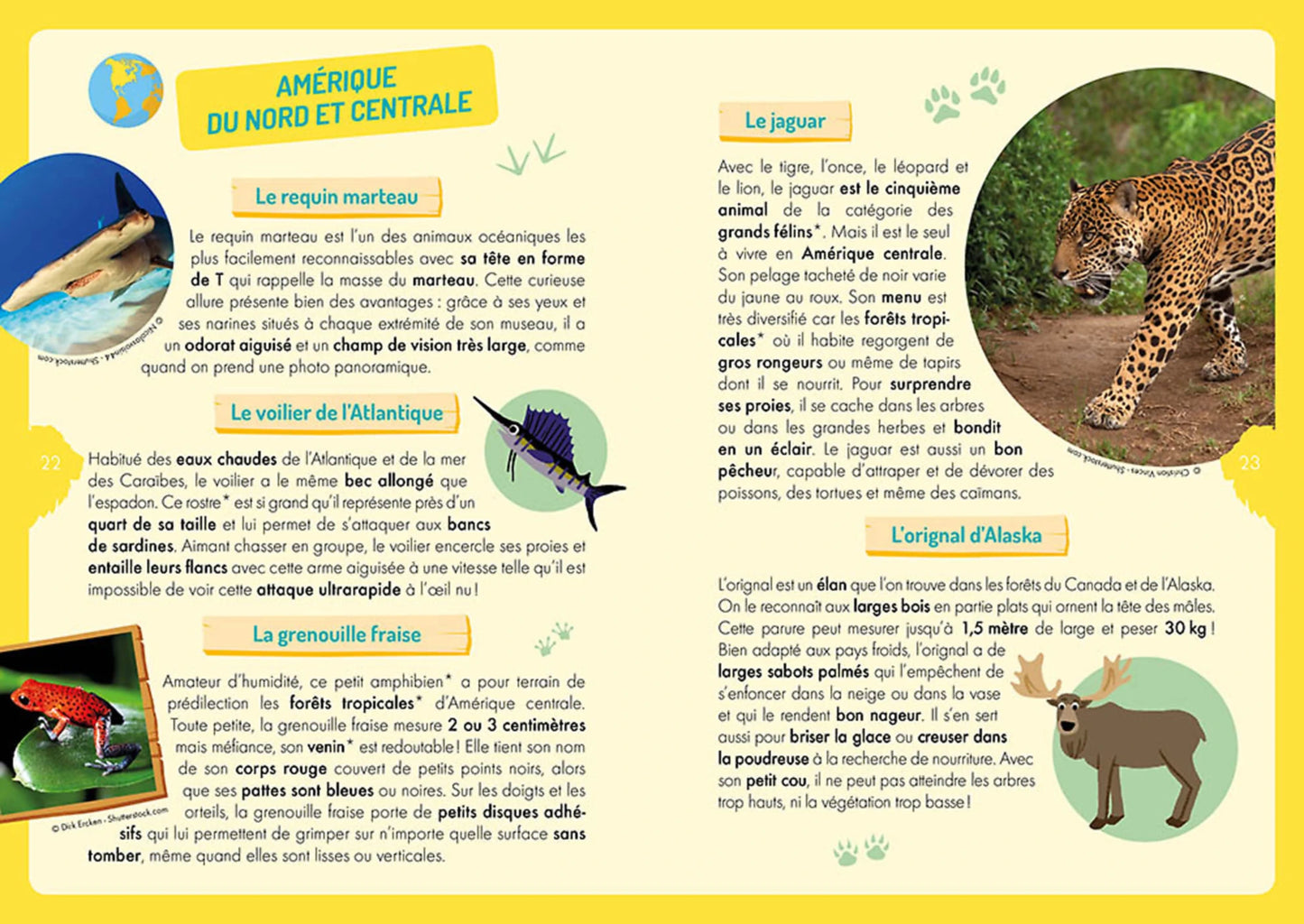 Coffret - À la découverte des animaux du monde