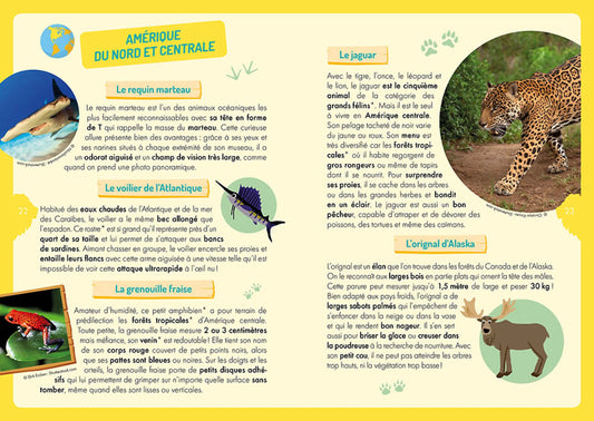 Coffret - À la découverte des animaux du monde
