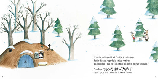 Livre - Joyeux Noël, Petite Taupe