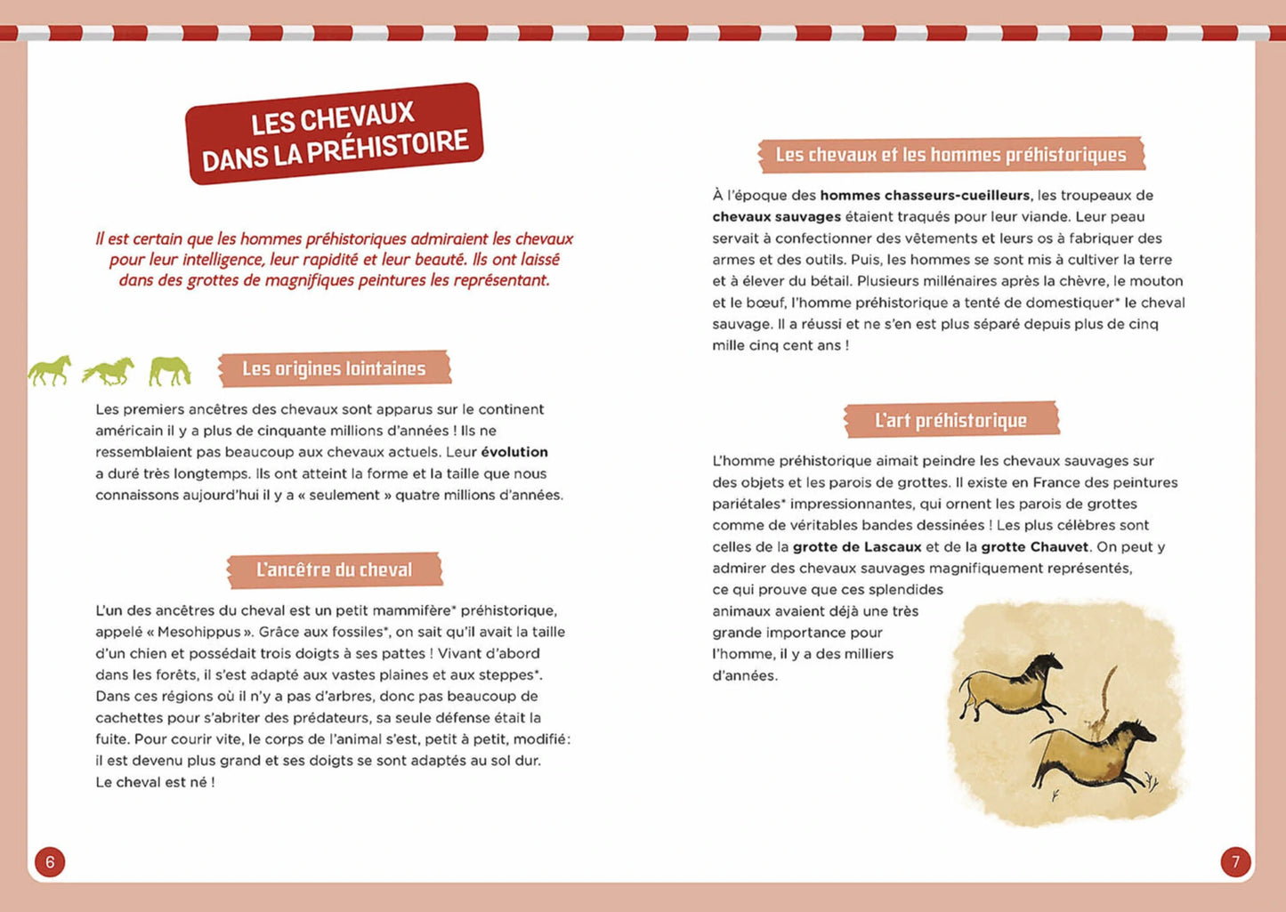Coffret - À la découverte des chevaux