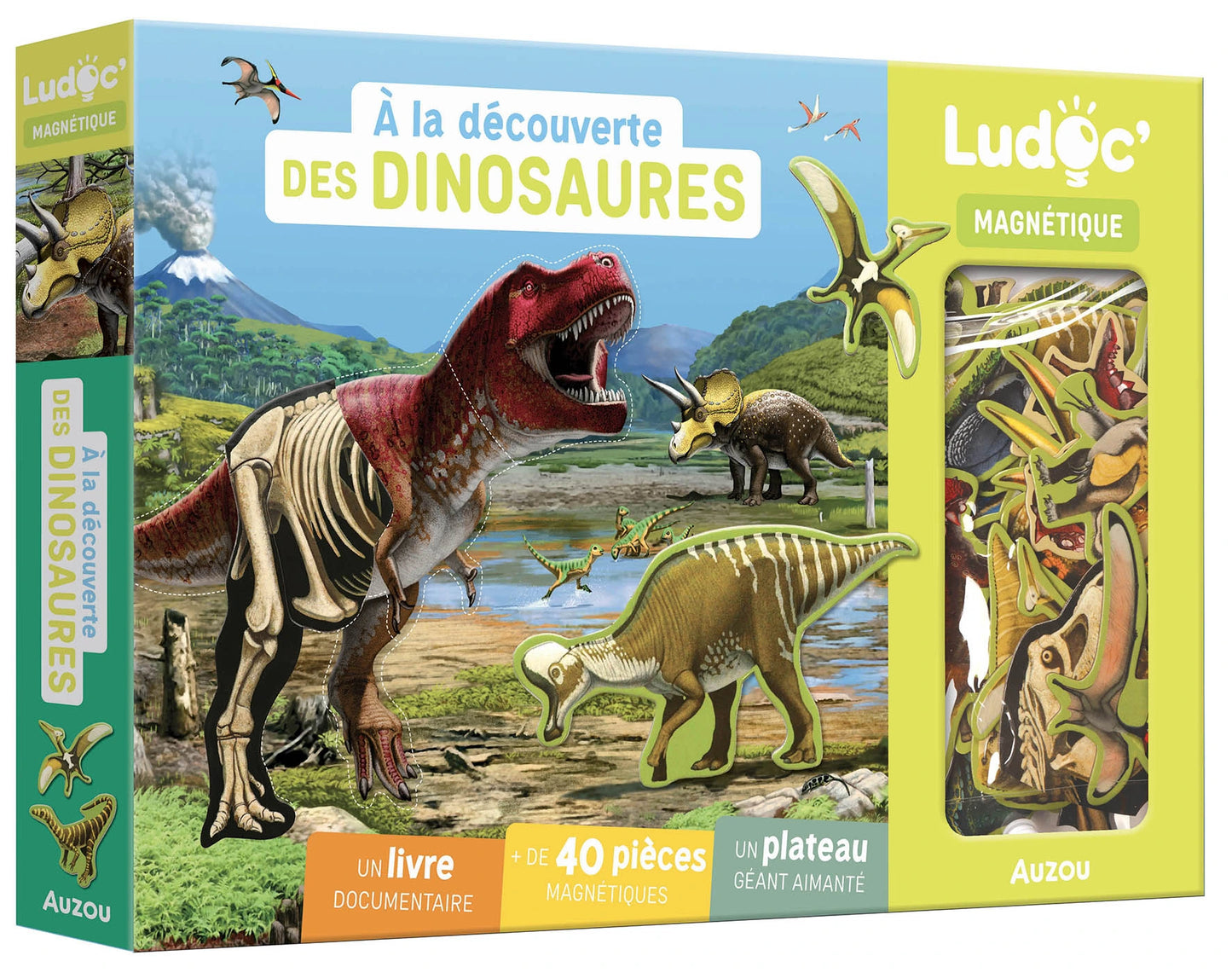 Coffret - À la découverte des dinosaures
