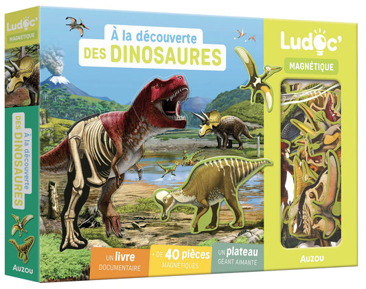 Coffret - À la découverte des dinosaures