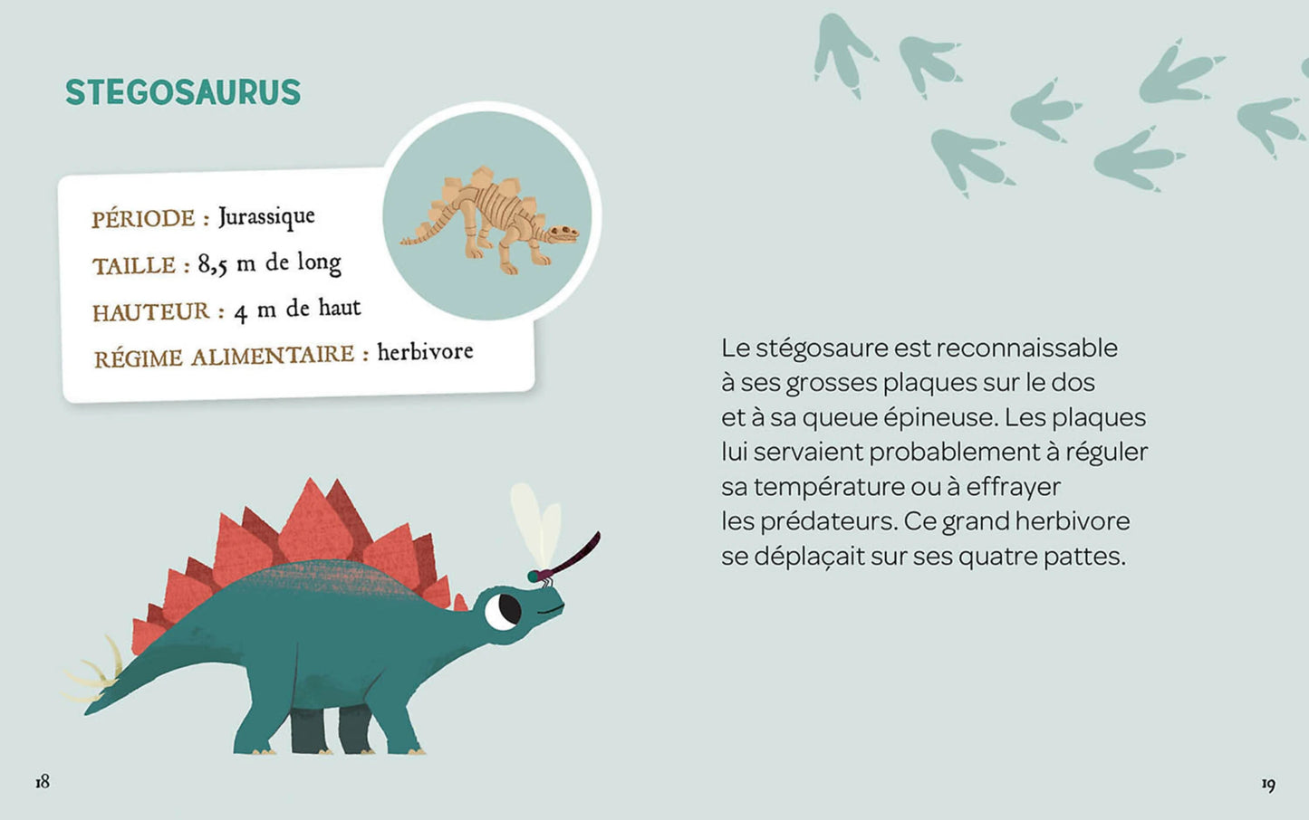 Mes 2 dinosaures à déterrer