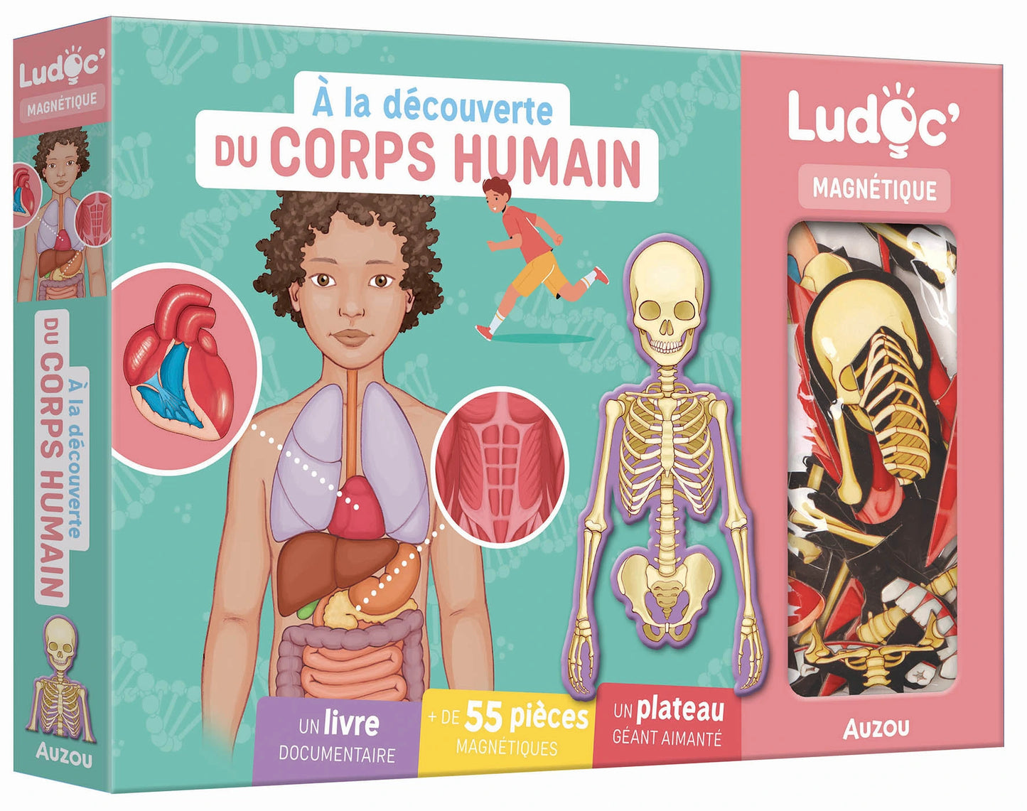 Coffret - À la découverte du corps humains