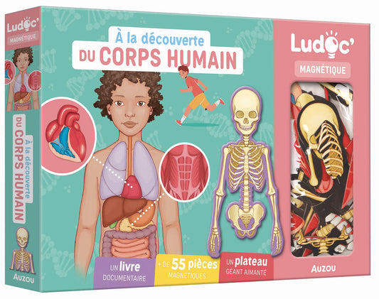 Coffret - À la découverte du corps humains