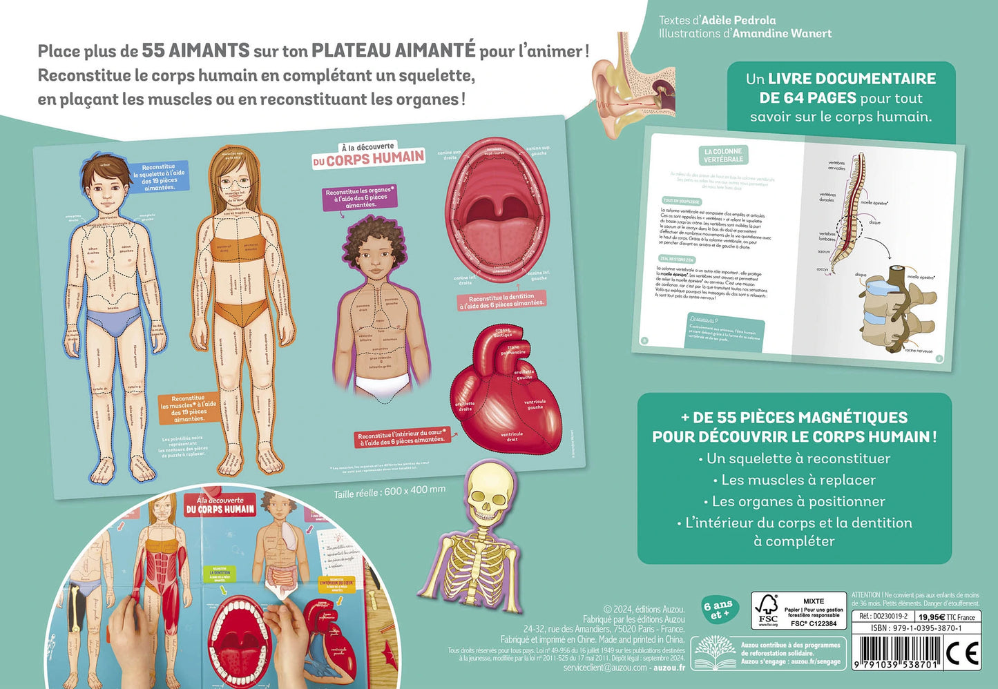 Coffret - À la découverte du corps humains