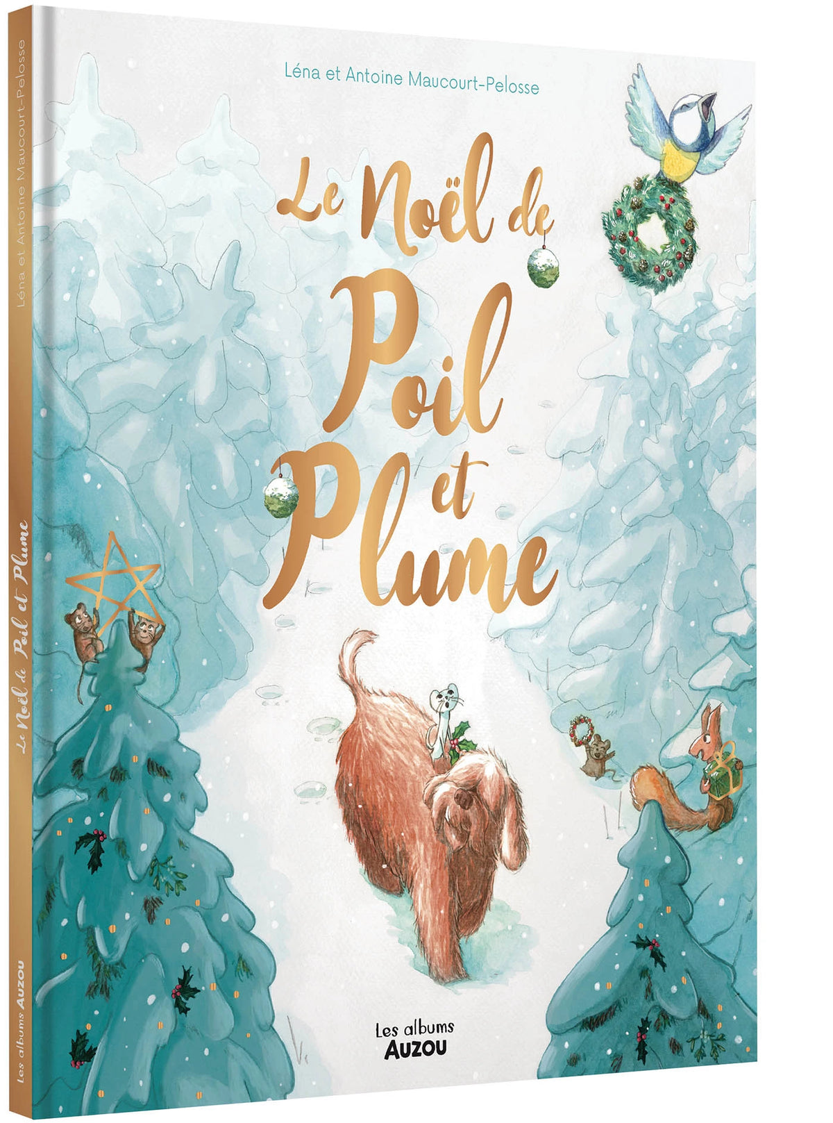 Livre - Le Noël de poil et plume