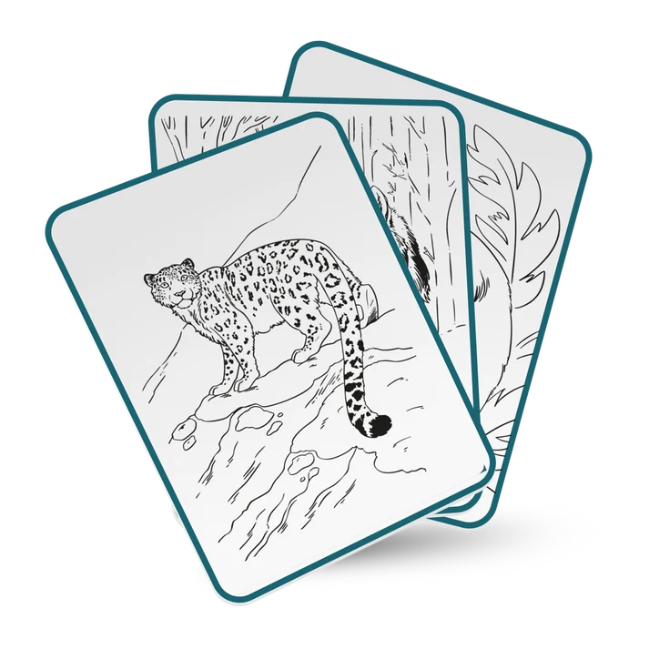 Kidydraw-pad - Animals