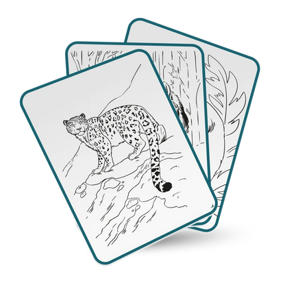 Kidydraw-pad - Animals