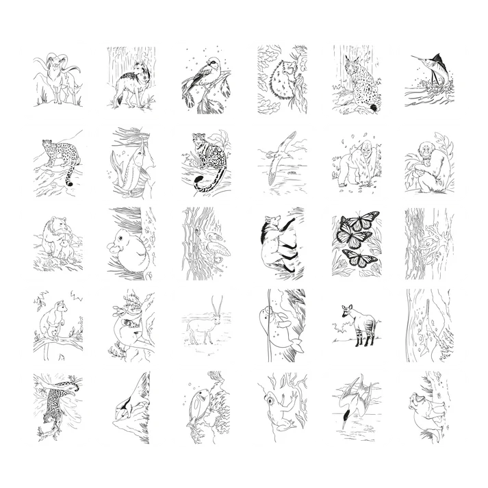 Kidydraw-pad - Animals