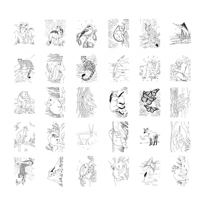 Kidydraw-pad - Animals