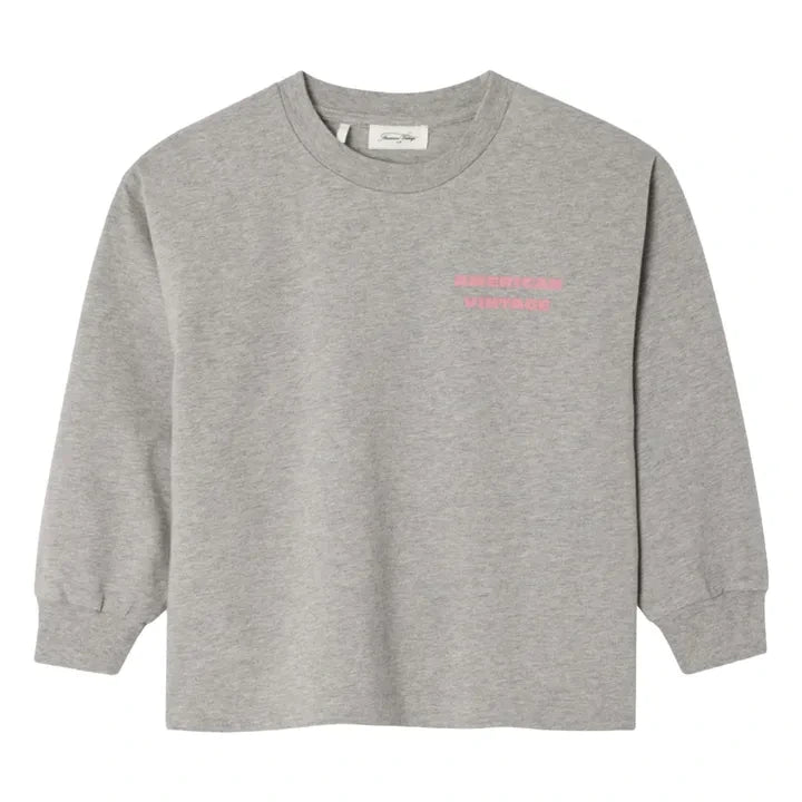 Tee-shirt FIZVALLEY - Gris
