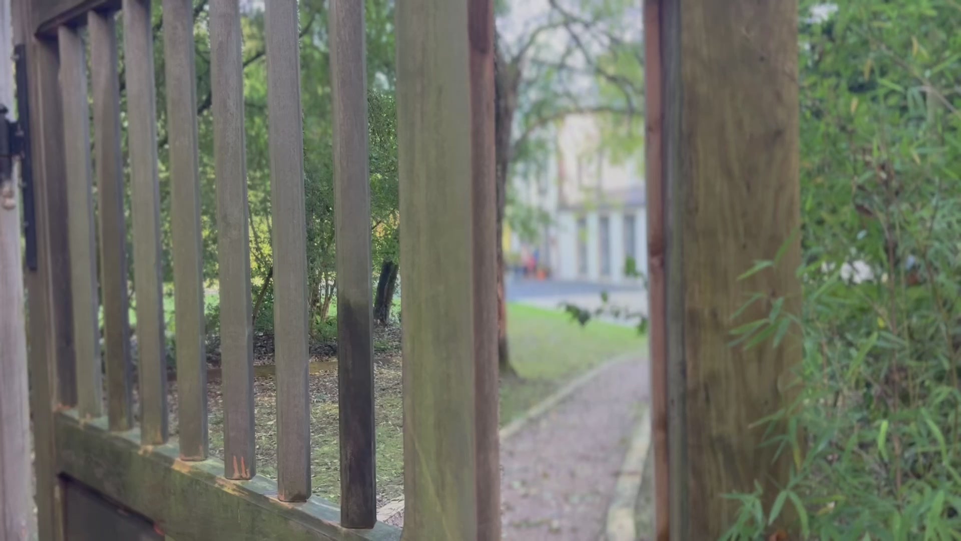 Charger la vidéo : 