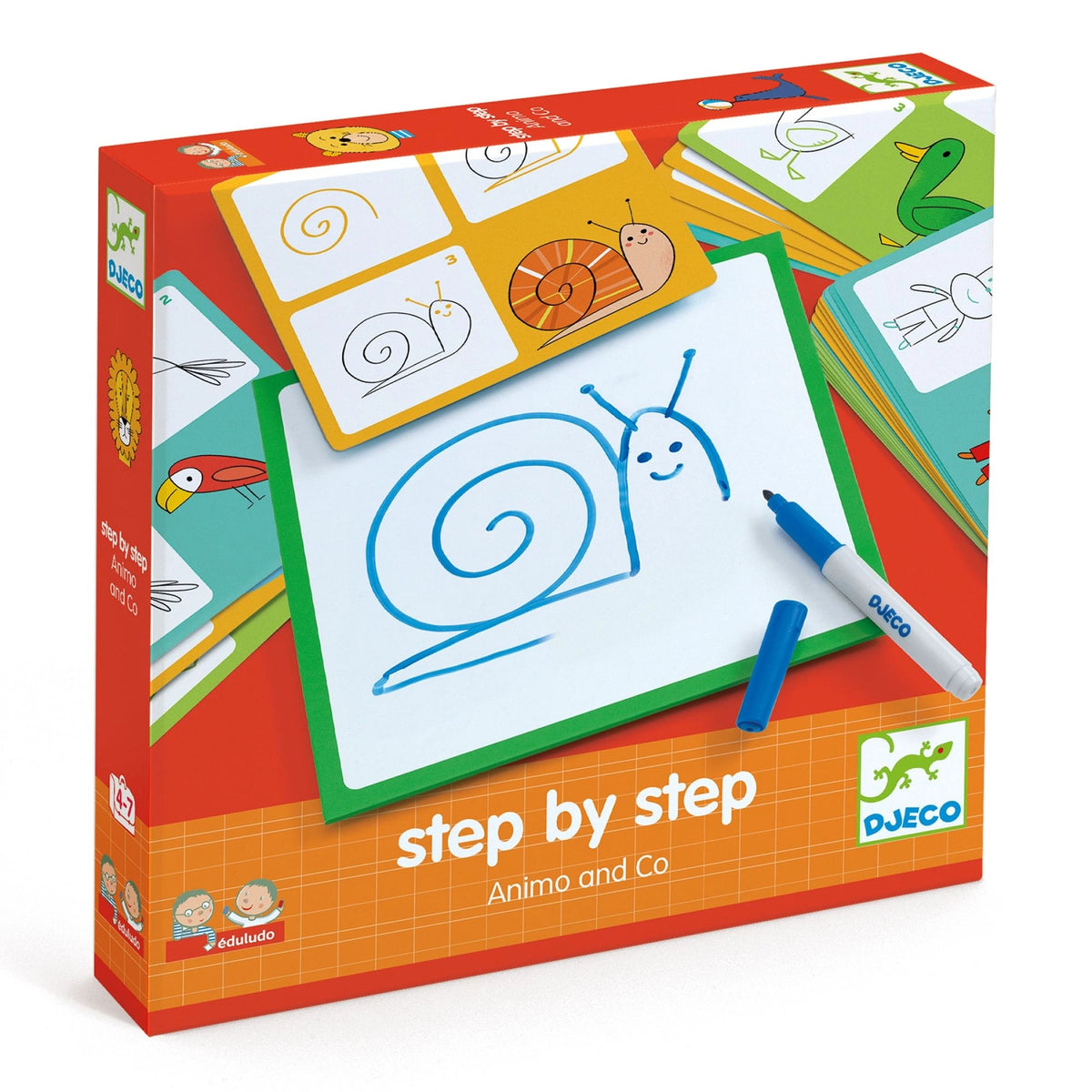 Step by step - Animo & co